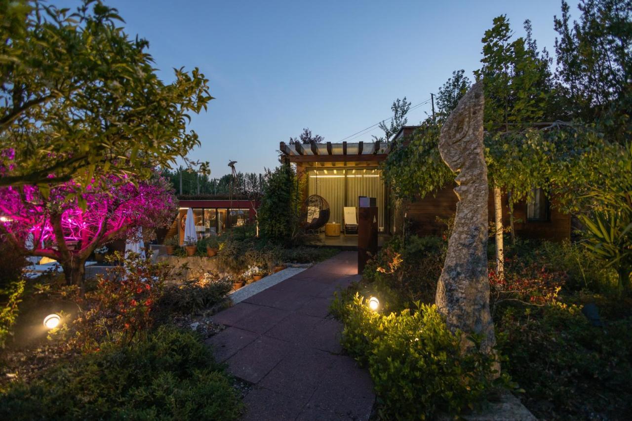 Vale De Sao Torcato Hotel Rural 귀마레스 외부 사진